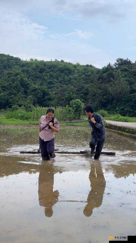 夫妻间 100 间插秧法人民网：背后的故事