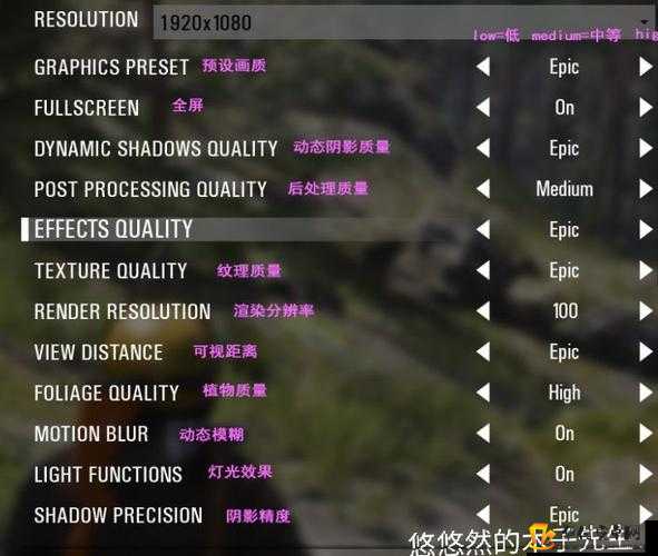 scum 设置界面中文对照翻译优化