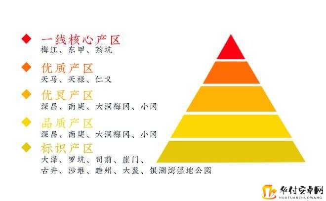 狭窄一线产区和二线产区的差距原因分析