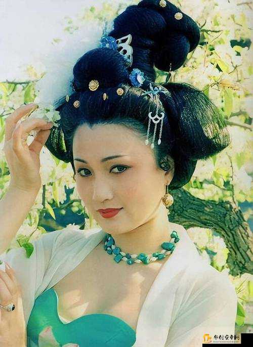 丰满杨玉环：盛唐之美与奢华生活